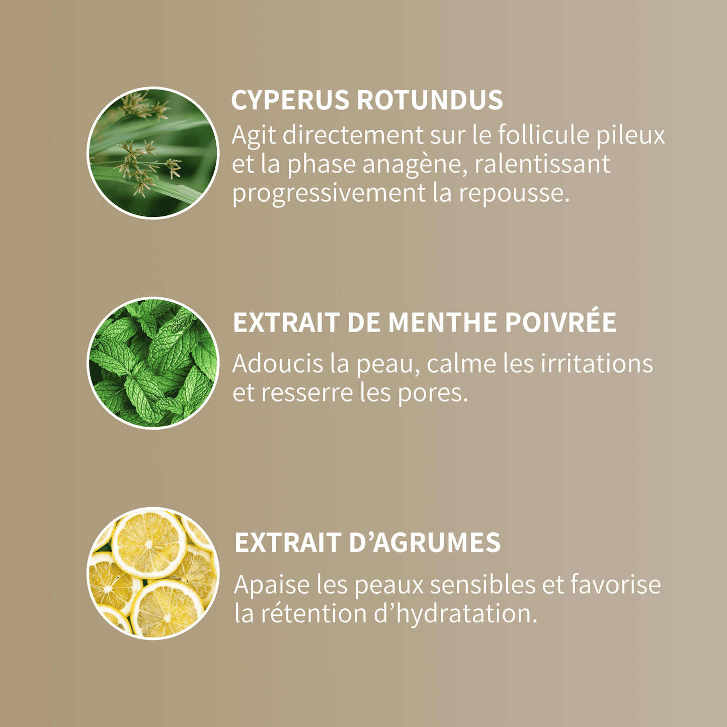 Cypure™ – Sérum Anti-Repousse Naturel