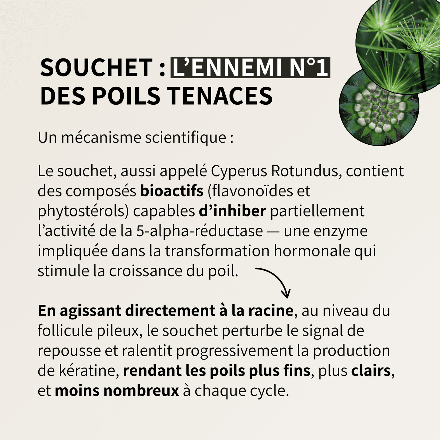 Cypure™ – Sérum Anti-Repousse Naturel